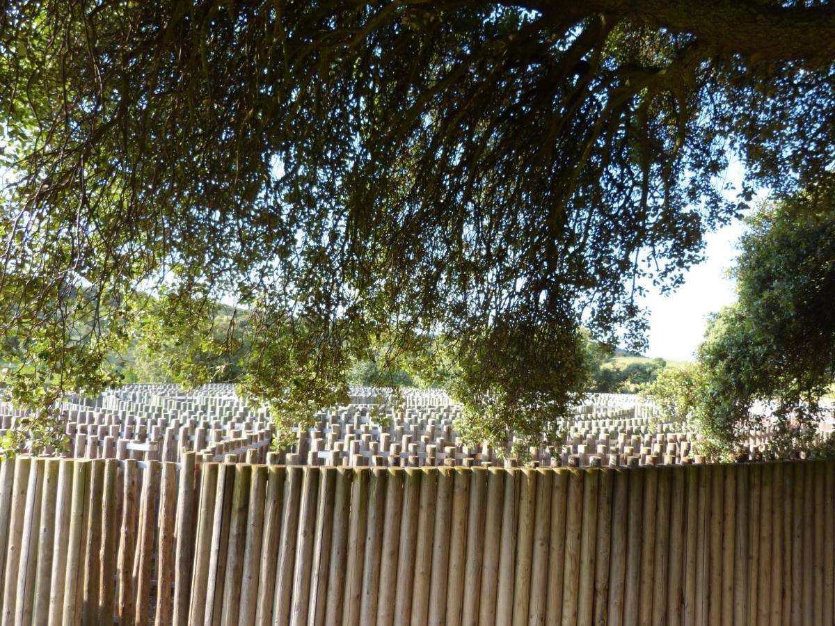 Casa Maria Villarroya エクステリア 写真